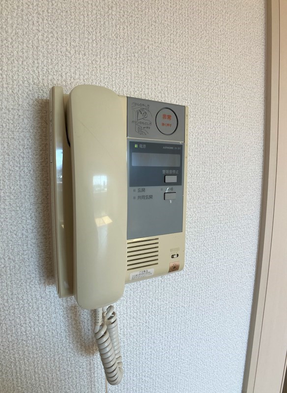 LOTUS MARSH元今泉 その他4