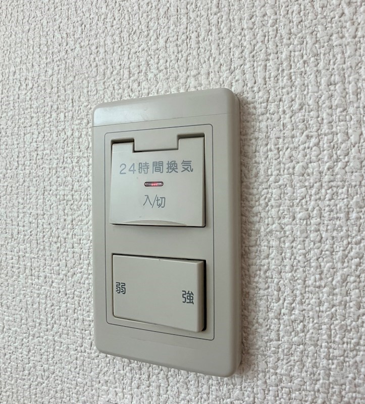 LOTUS MARSH元今泉 その他10