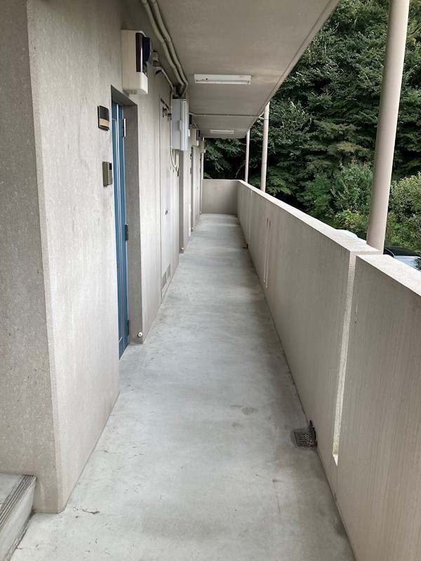 グリーンシャトリエⅡ  その他5