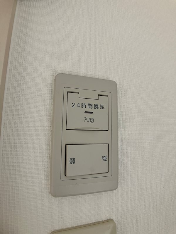 LOTUS MARSH元今泉 その他6