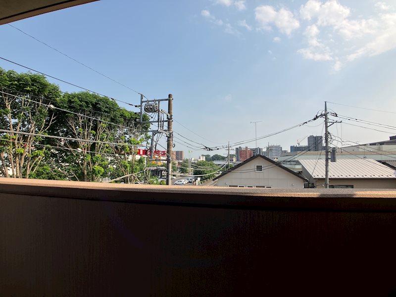 LOTUS MARSH元今泉 その他7