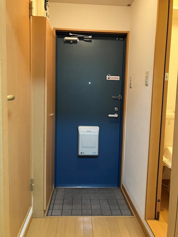 グリーンシャトリエⅡ  玄関