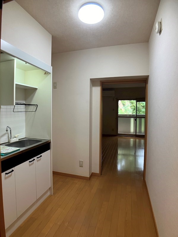 グリーンシャトリエⅡ  その他8