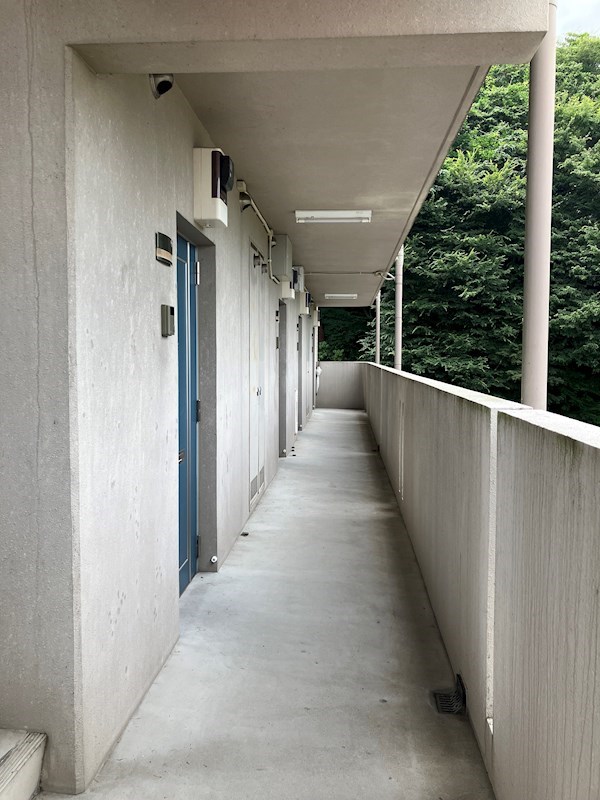 グリーンシャトリエⅡ  その他21