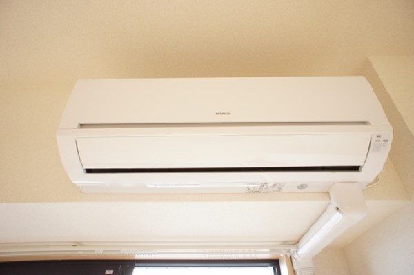 プラナス桜 その他5