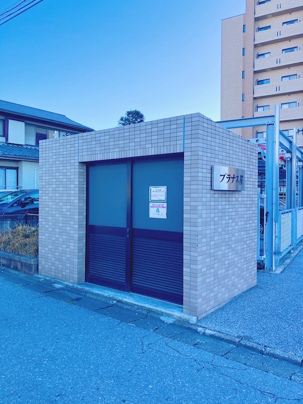 プラナス桜 その他10