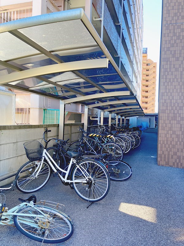 プラナス桜 その他7