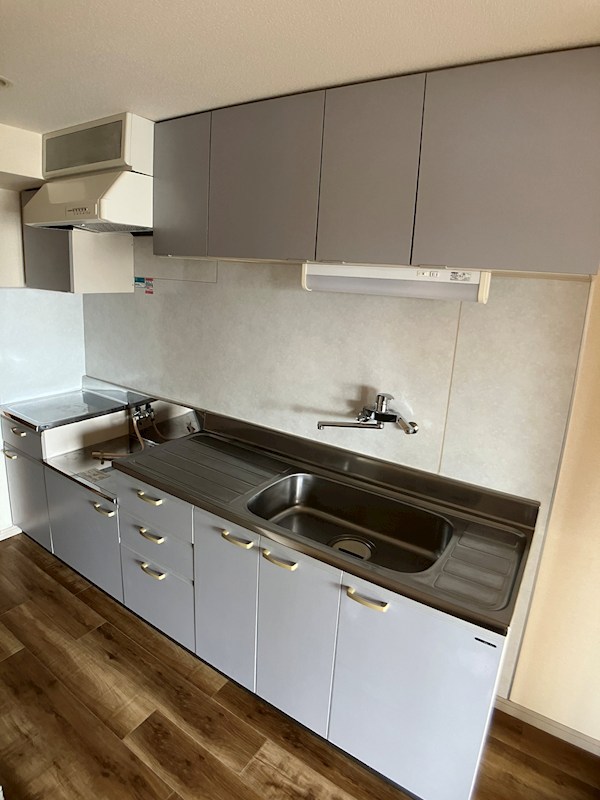 三向ハイツ元今泉 キッチン