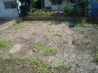 プルミエ　A 庭