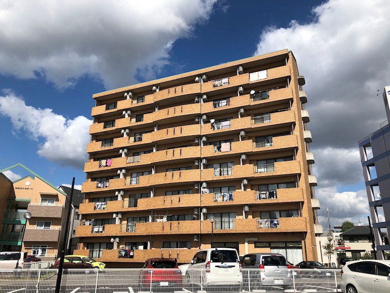 ネオニシキ その他17