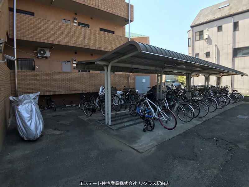 ネオニシキ その他16