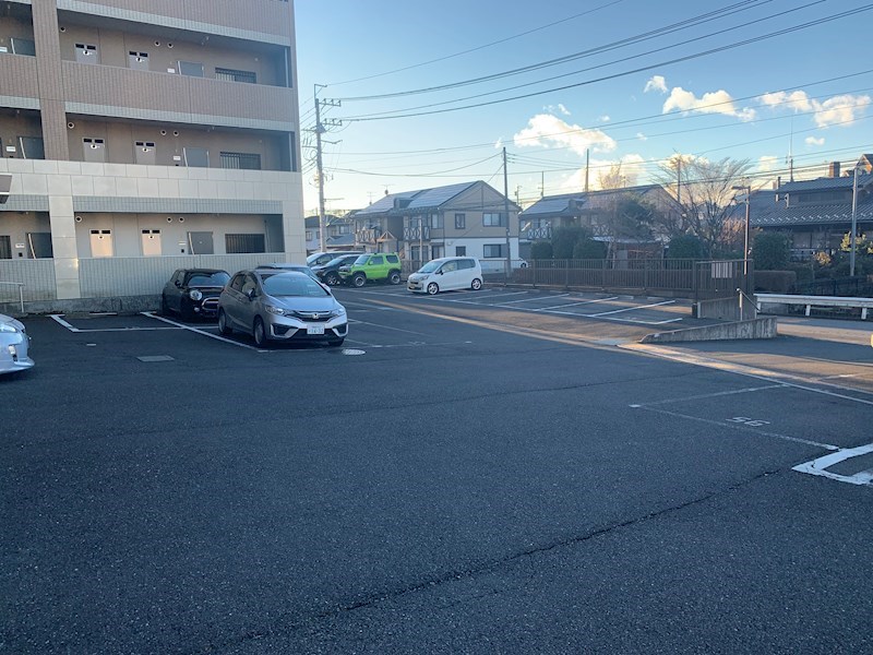 GREEN FOREST その他6