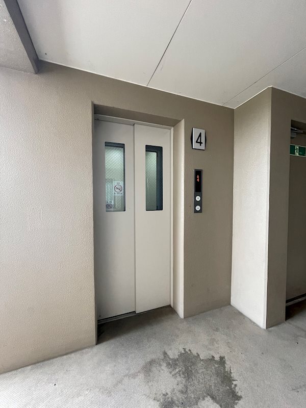 GREEN FOREST その他7