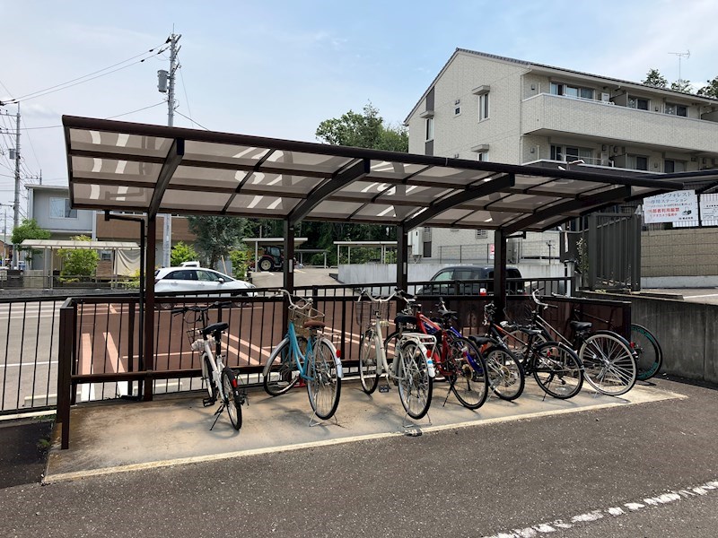 GREEN FOREST その他12