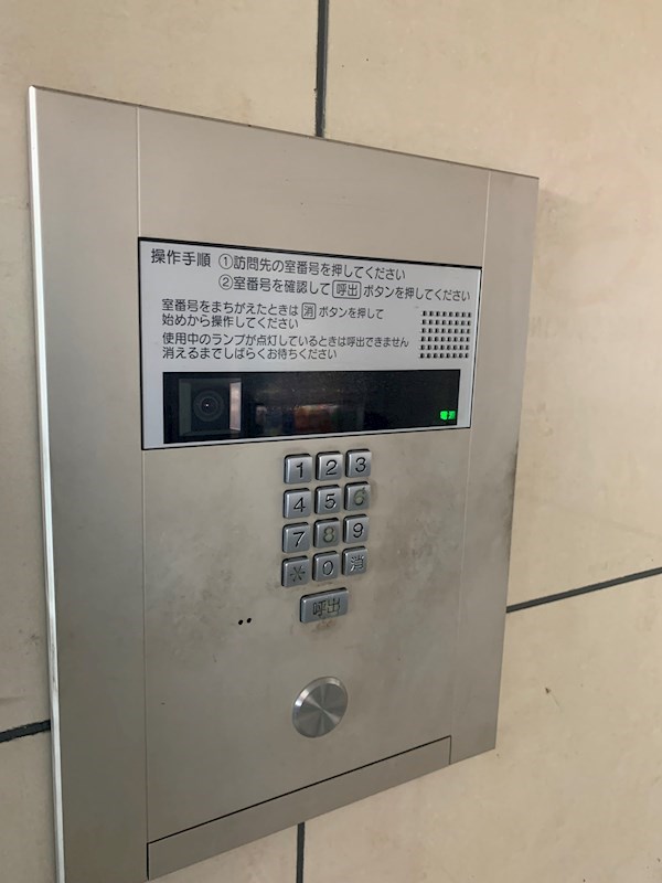 GREEN FOREST その他5