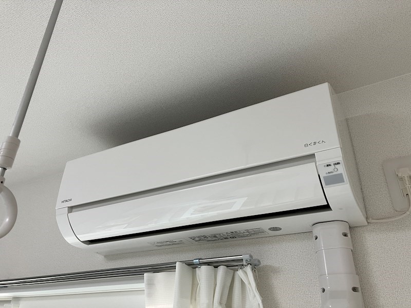 Luana an その他17