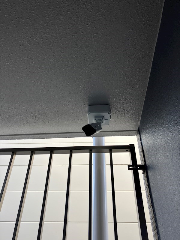 Luana an その他24