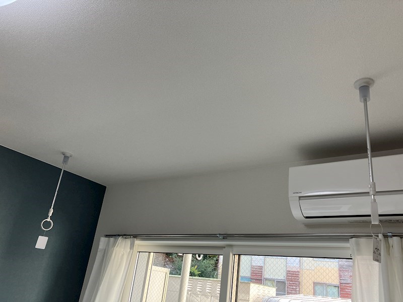 Luana an その他16