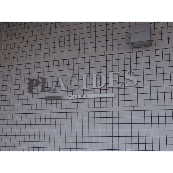 PLACIDES その他22