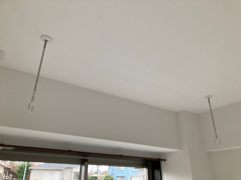 PLACIDES その他8