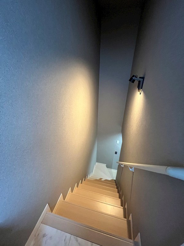 ミッレミリア その他20