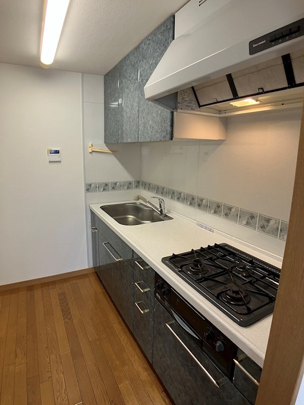 ザ・ミレニアムレジデンス キッチン