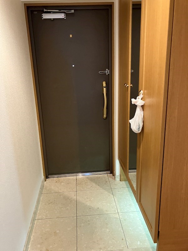 ザ・ミレニアムレジデンス 玄関