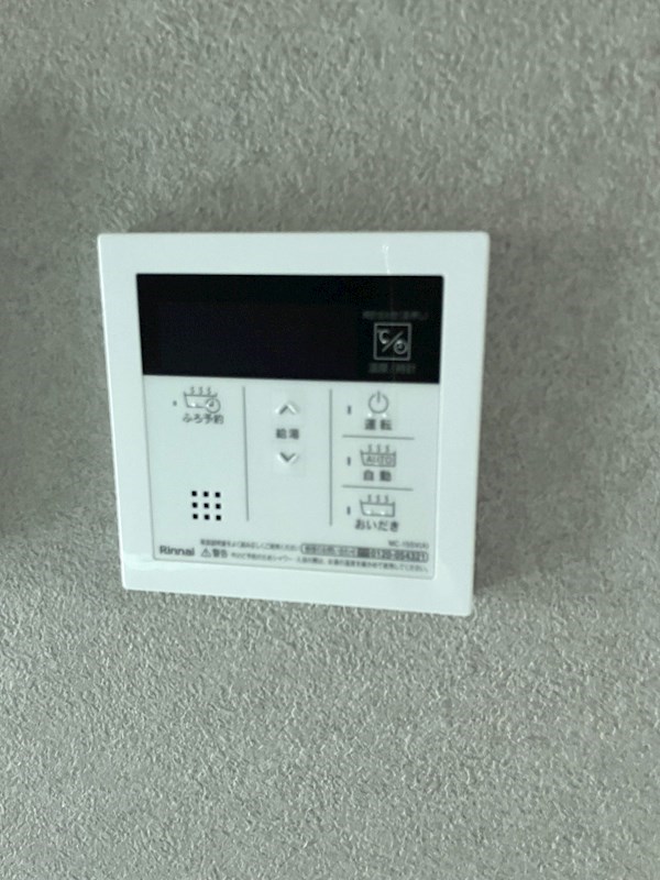 タルガ・フローリオ弥生 その他11