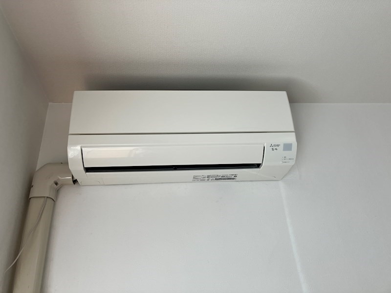 ROYAL RAISIN その他5