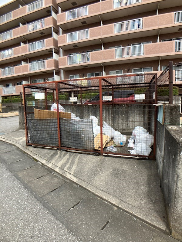 ROYAL RAISIN その他19