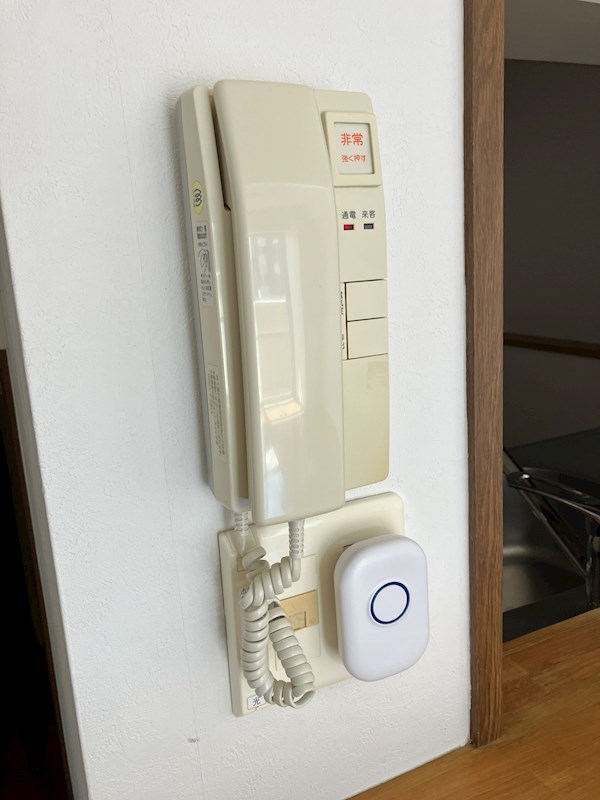 ROYAL RAISIN その他4