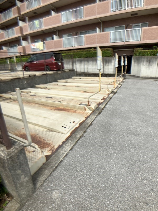 ROYAL RAISIN その他8