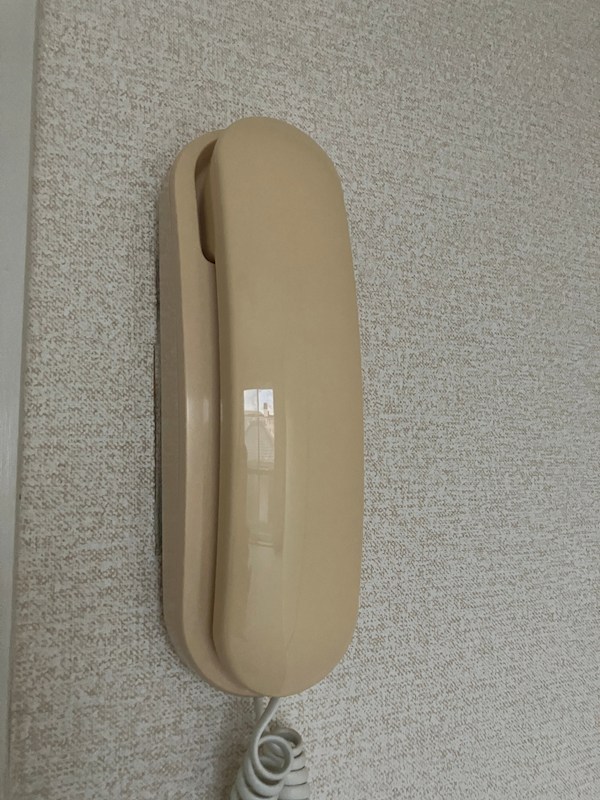 西川田第8レジデンス その他3