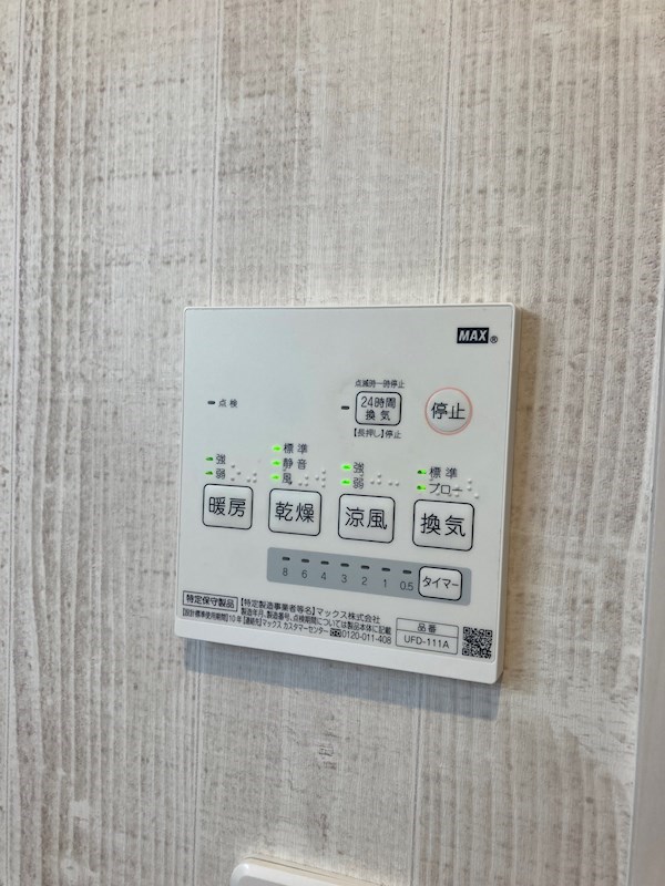 ネイザ戸祭 その他5