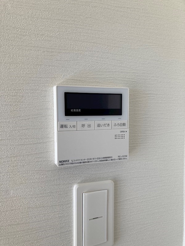 ネイザ戸祭 その他9