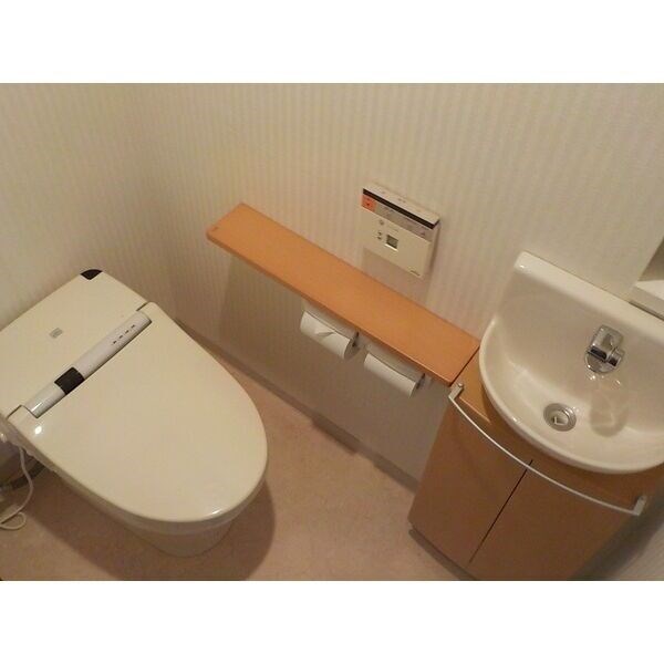 ラフィネスおもちゃのまち駅前 その他1