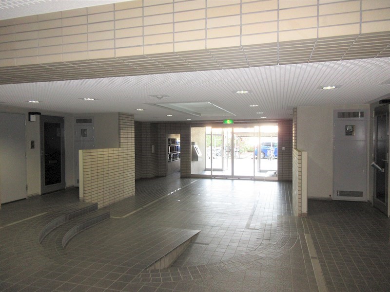 ナイス・ステージ・宇都宮参番館 その他6