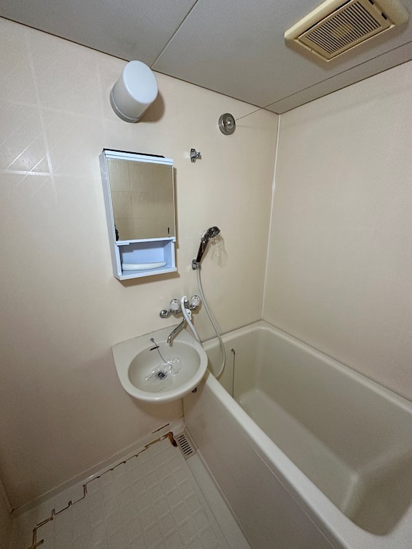 エール・ド・シャトーⅠ 風呂画像