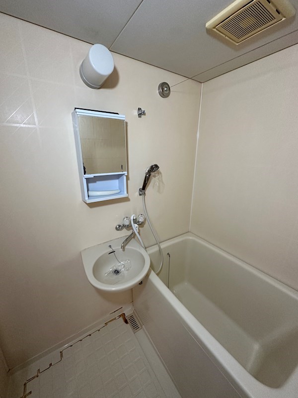 エール・ド・シャトーⅠ 風呂画像