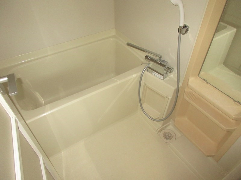 ビュー雷神Ⅰ 風呂画像