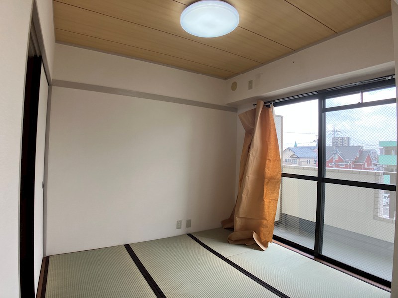 プラトー星 その他7