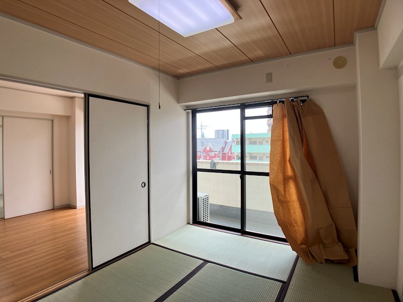 プラトー星 その他9