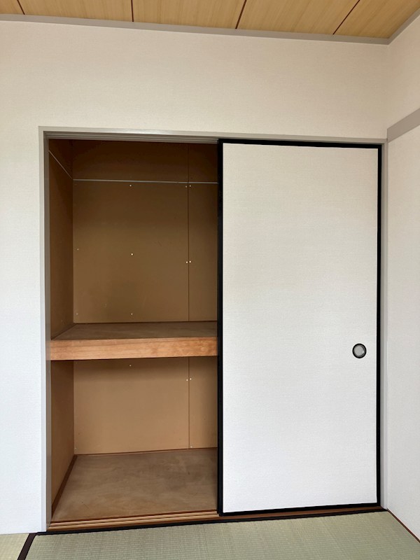 プラトー星 その他12