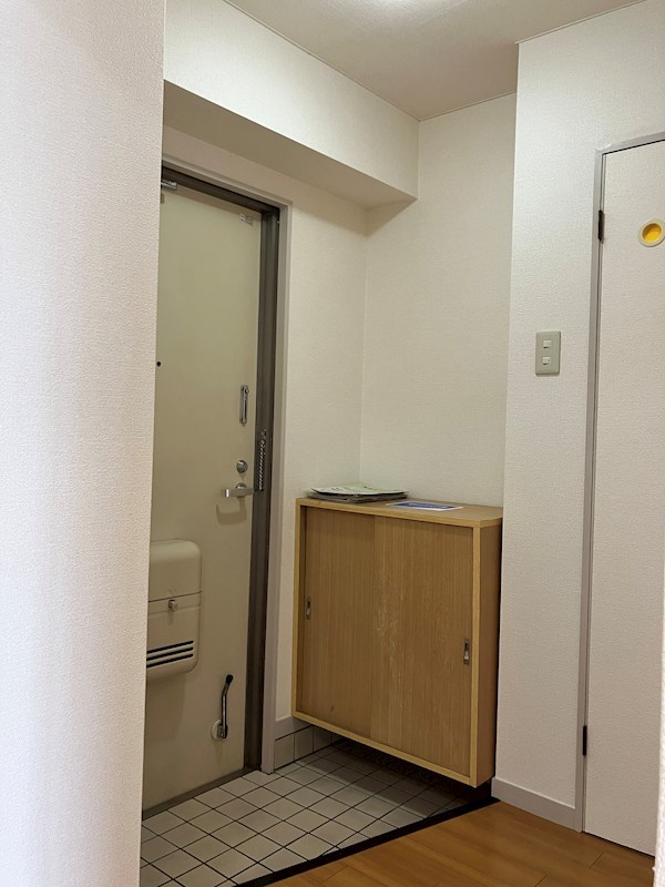 プラトー星 その他14