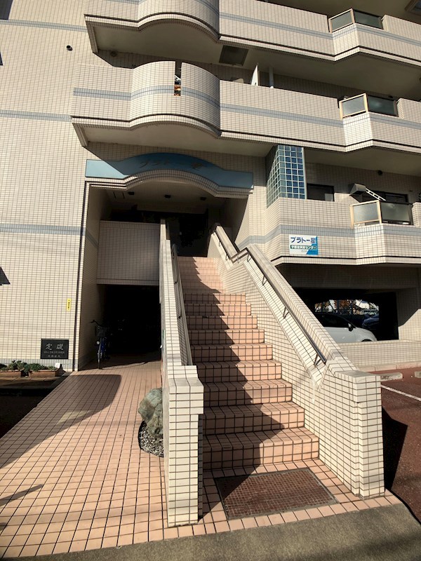 プラトー星 その他15