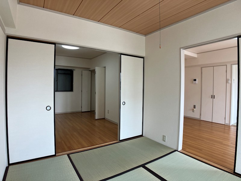 プラトー星 その他11