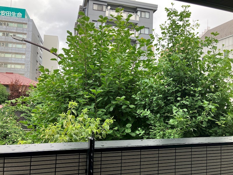 M・レジデンス一番町 その他6