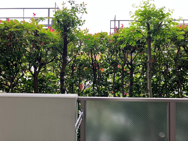 元今泉レジデンス その他7