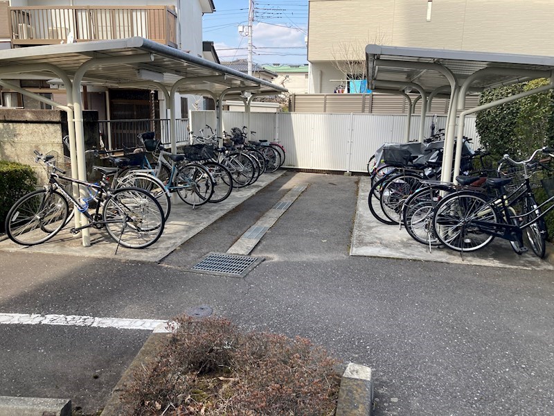 サーパス錦 その他2