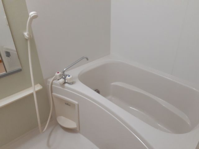 ヴィラ・大堀端Ａ 風呂画像